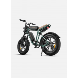 Електрически велосипед ENGWE M20 DUAL Green