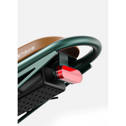 Електрически велосипед ENGWE M20 DUAL Black